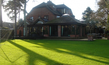 Shade Tolerant Turf image