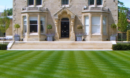 General Amenity Turf image