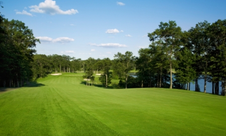 Fairway Turf image