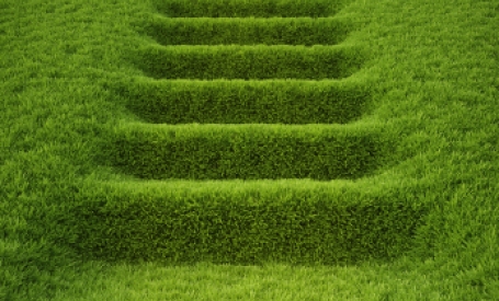 Path Turf image